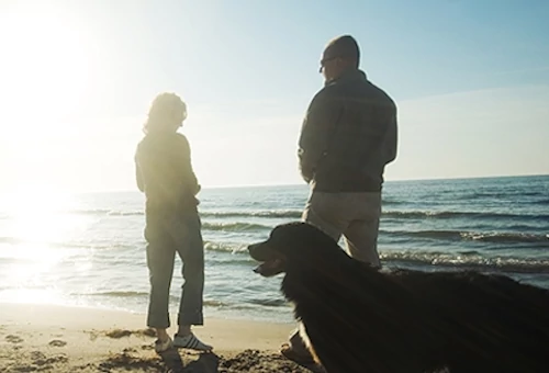 Couple on the beach at sunset with dog